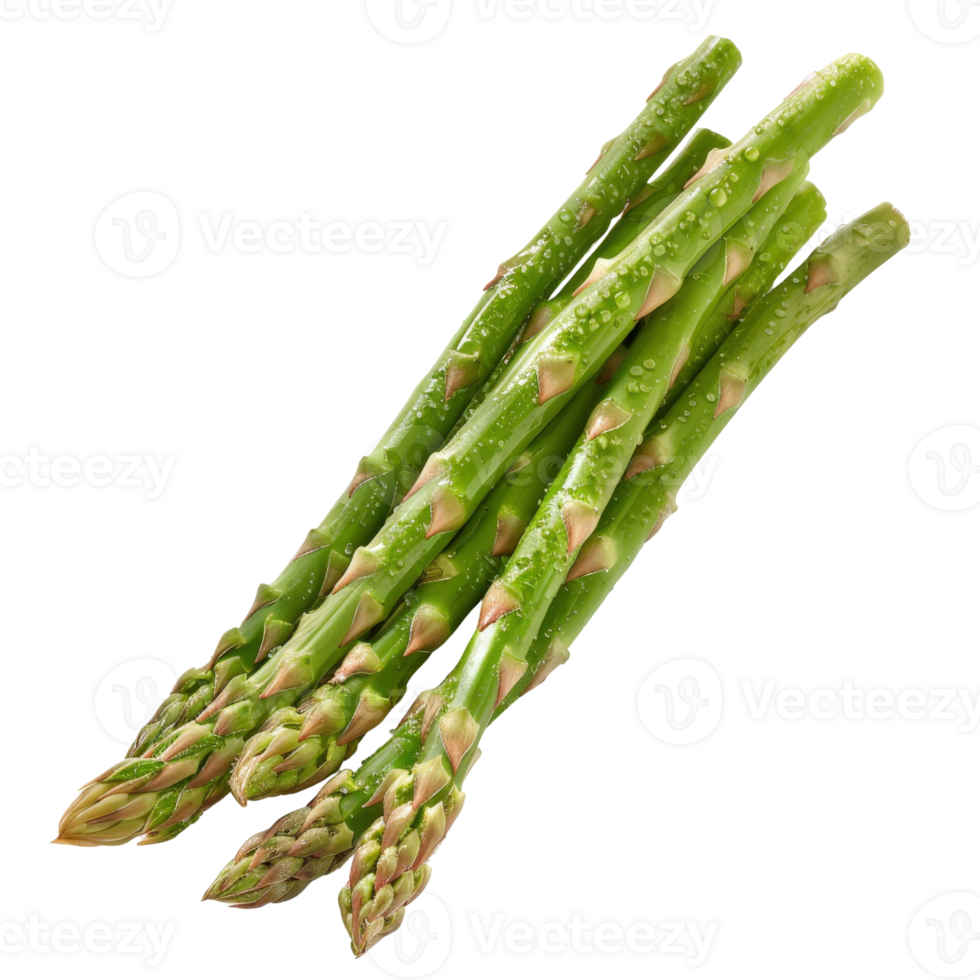Fresh Green Asparagus Stalks with Water Droplets on White Background for Healthy Cooking and Nutrition Concepts png