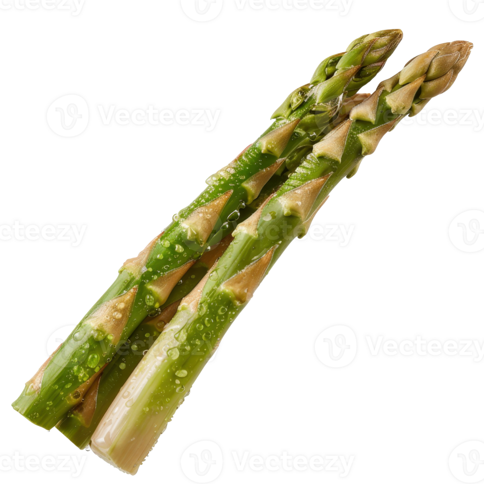 Fresh Green Asparagus Stalks with Water Droplets on White Background for Culinary and Healthy Eating Concepts png