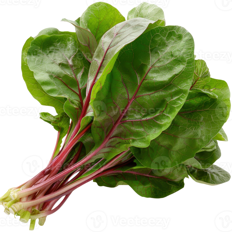 Fresh and Vibrant Swiss Chard Bundle with Glossy Green Leaves and Red Stems Perfect for Healthy Cooking and Nutrition png