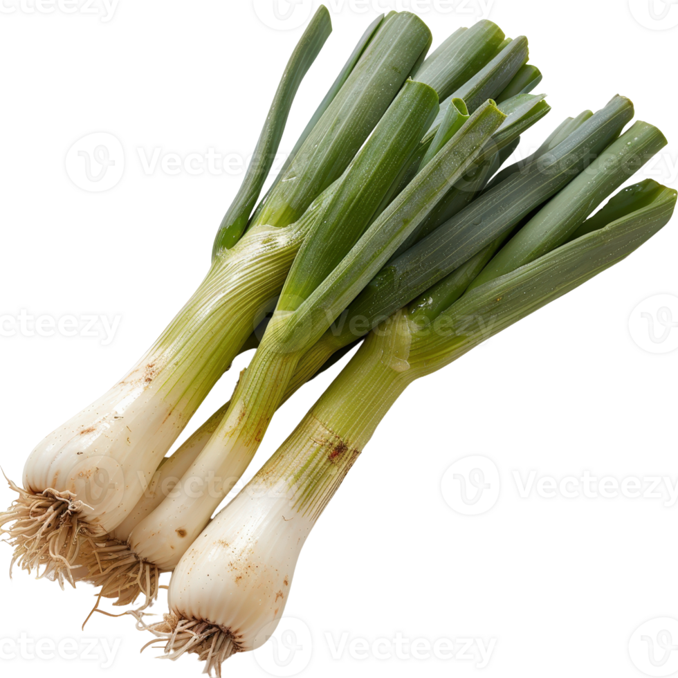 Fresh Green Onion Bunch with Crisp Leaves and Roots on a Bright Background Capturing Farm-to-Table Essence png