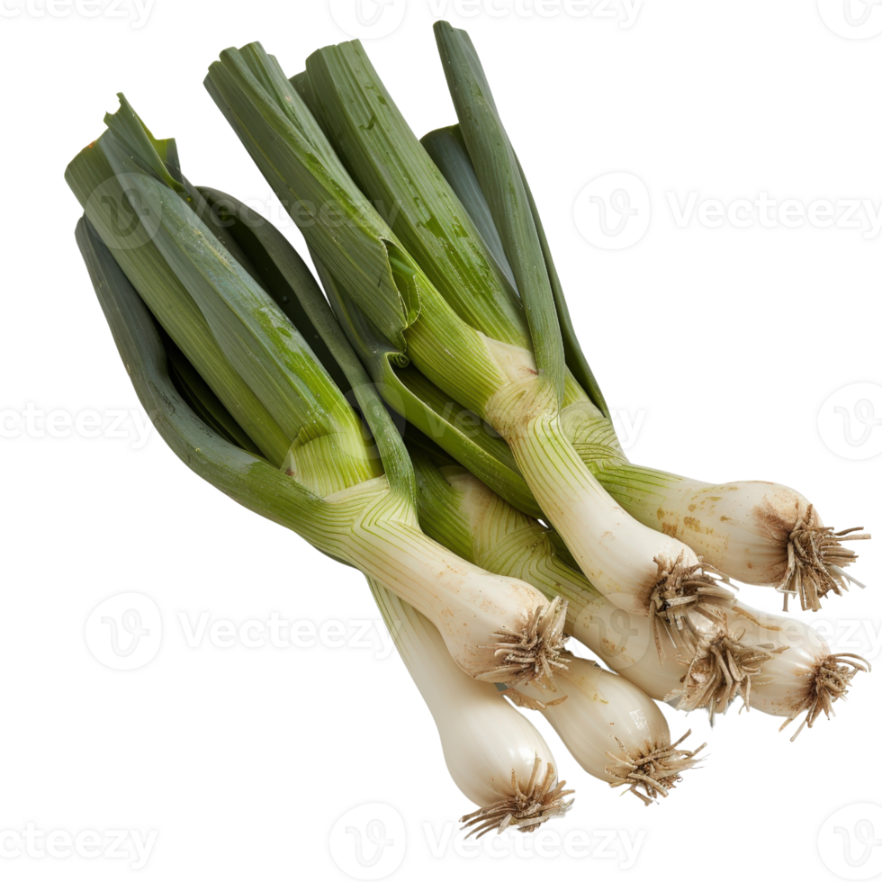 Fresh Green Leeks on a White Background Ready for Culinary Use in Various Delicious Dishes and Recipes png