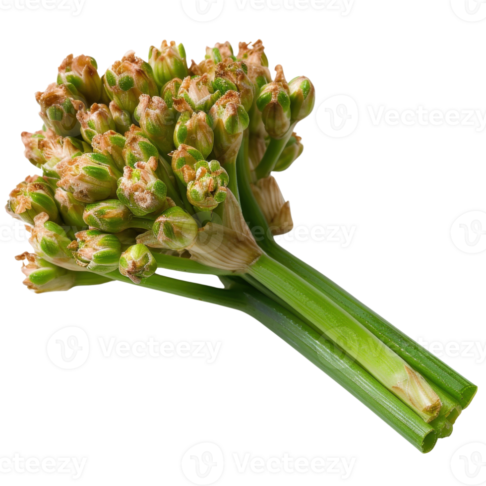 Fresh vibrant green onion stalks with delicate flower buds ready for culinary use and garnishing in various dishes png