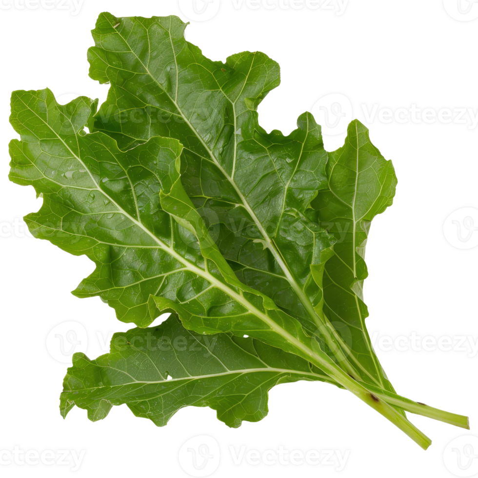 Fresh Green Leafy Greens on Transparent Background Ideal for Culinary Use and Healthy Meal Preparation png