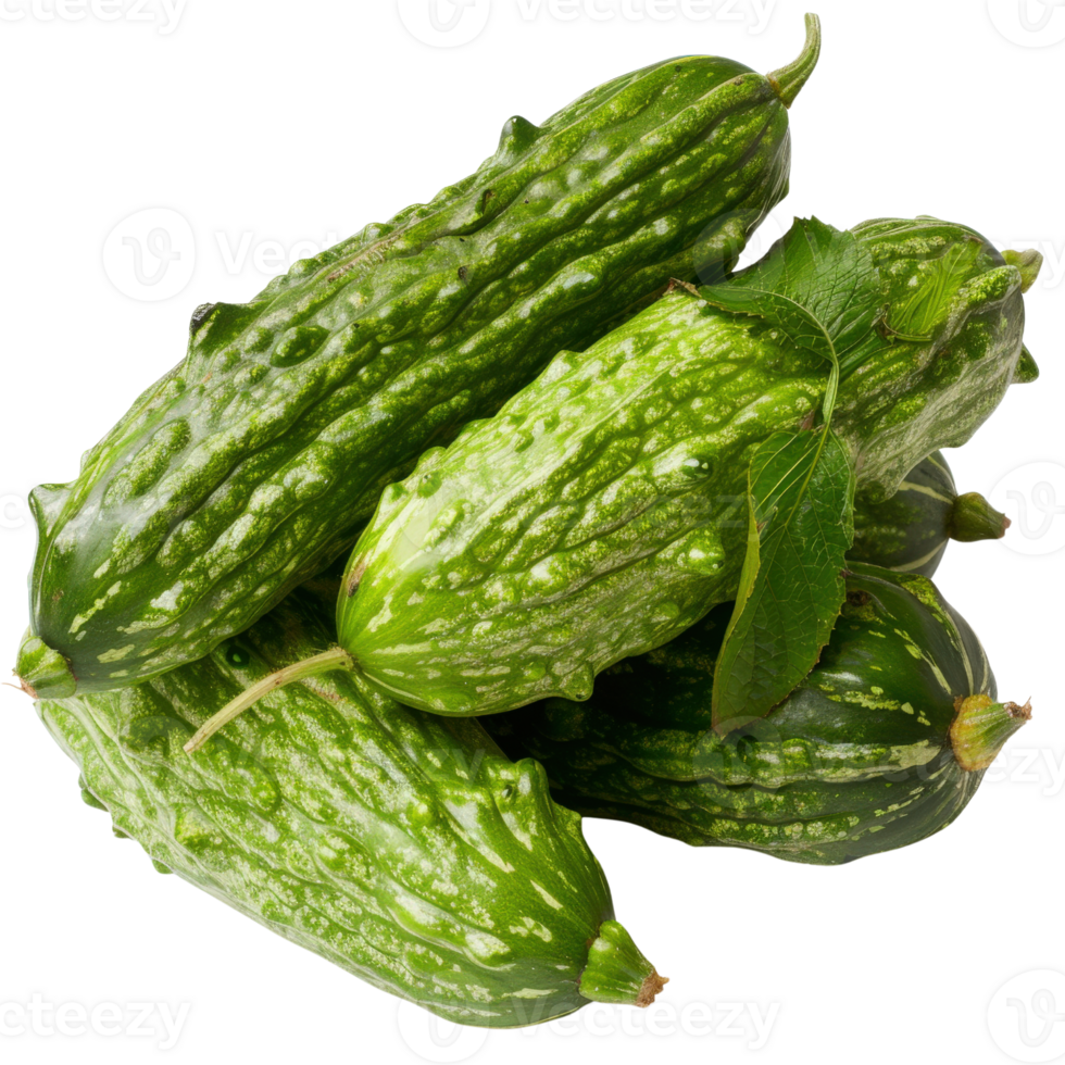 Fresh Green Bitter Melon Pile with Leaves on White Background for Healthy Cooking and Nutrition Concepts png