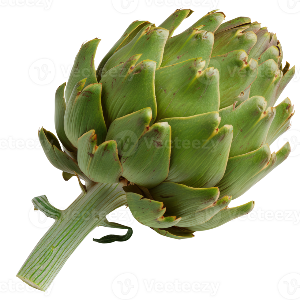 Fresh Green Artichoke Vegetable Isolated on White Background for Culinary and Health-related Use png