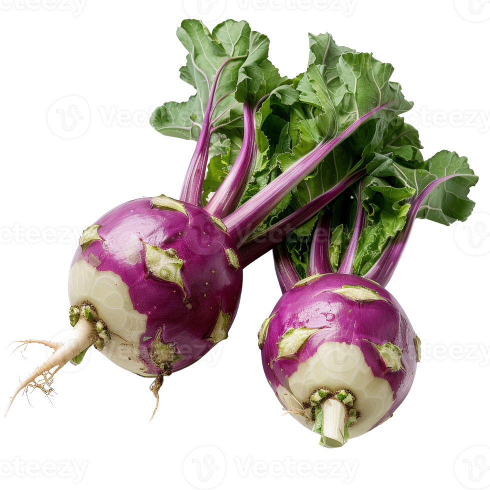 Fresh and Vibrant Purple Kohlrabi with Green Leaves Isolated on White Background png