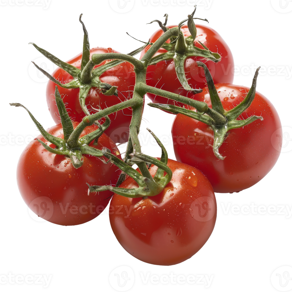 Fresh Red Tomatoes on the Vine with Water Drops, Organic Produce for Healthy Cooking and Delicious Recipes png