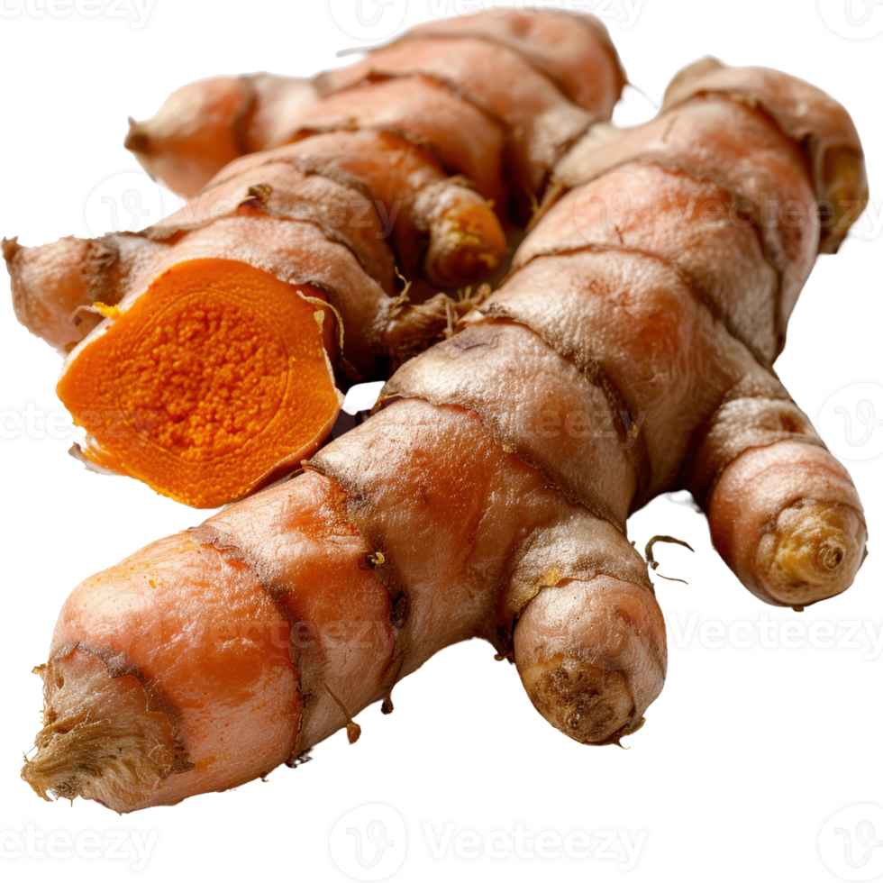 Fresh Turmeric Root Isolated on White Background with One Cut Open Showing Bright Orange Flesh and Textured Skin png