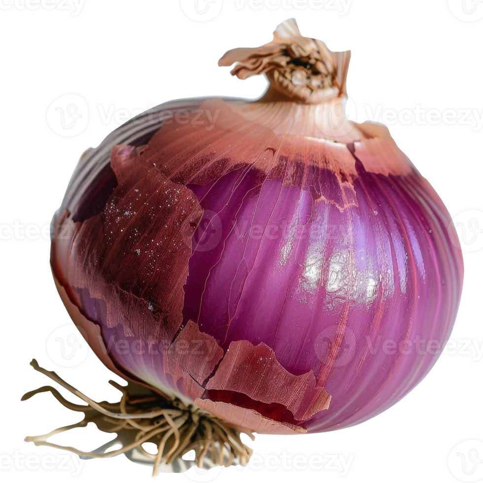 Freshly harvested red onion with vibrant skin and detailed texture, isolated on a white background for culinary use png