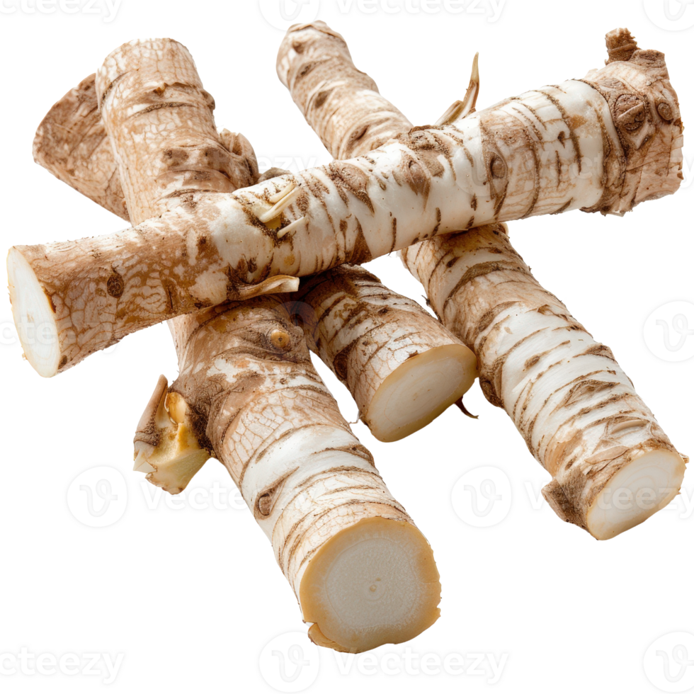 Fresh Raw Horse Radish Roots Ready for Preparation and Culinary Use in Dishes and Sauces Enhancing Flavor and Taste png