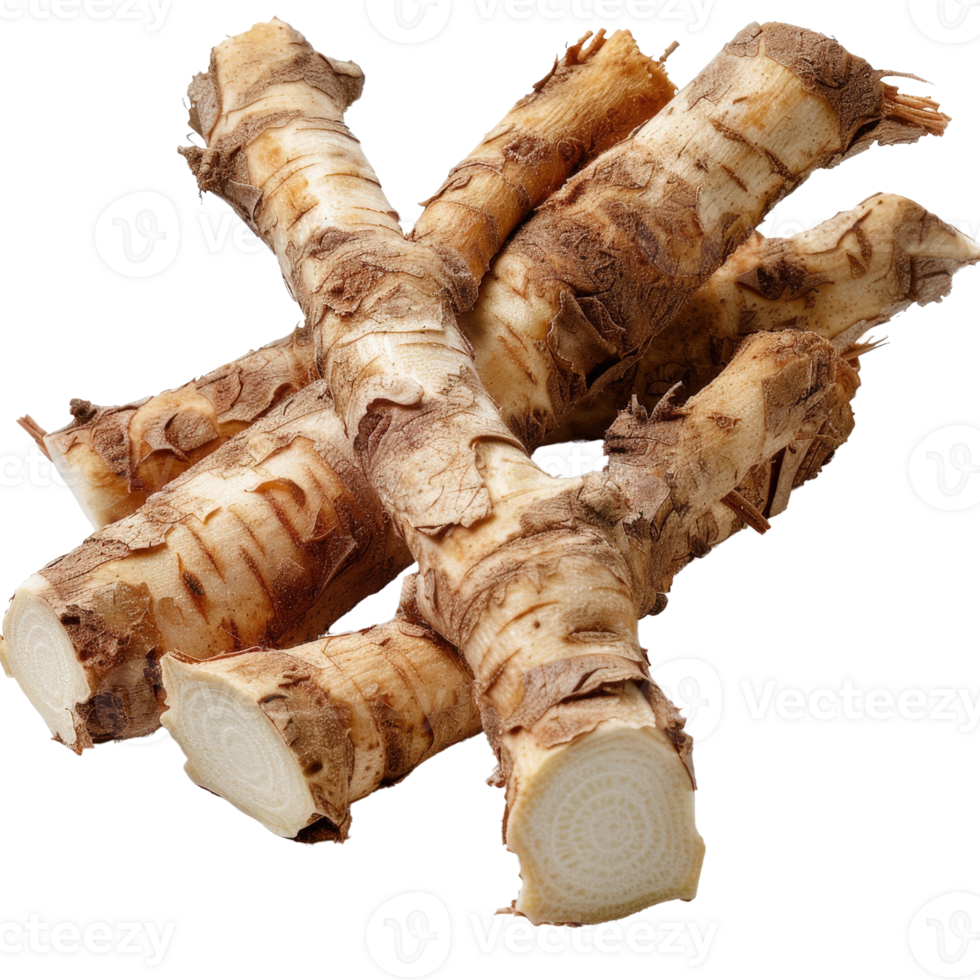 Fresh and Organic Horseradish Roots with Natural Texture and Color for Culinary and Culinary Uses in Delicious Dishes png