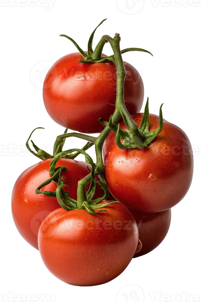 Fresh and Juicy Red Tomatoes Stacked Together with Green Stems on a Bright Background for Culinary Use and Food Photography png