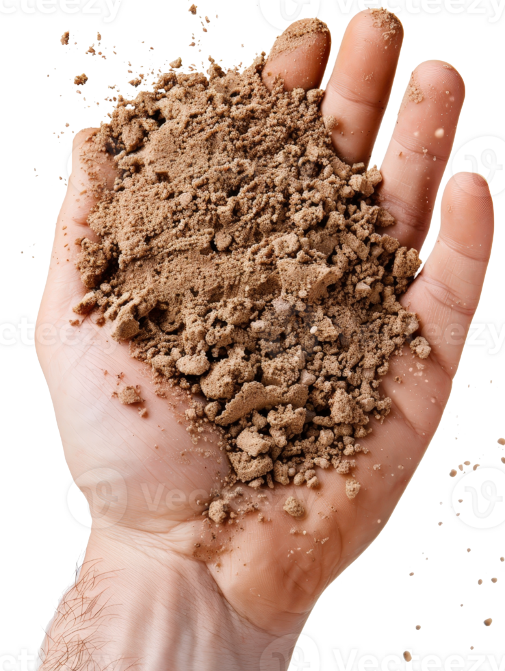 Hand Holding A Palmful of Dry Sand or Soil, Granular Texture Revealing Earthy Materials and Organic Matter png