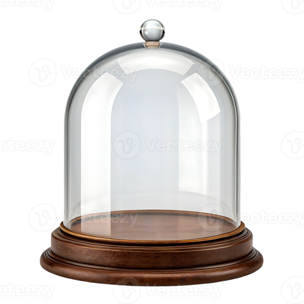 Empty glass dome on wooden base. Display case, cloche. png