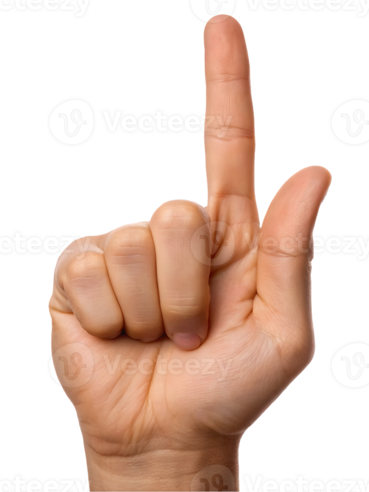 Hand gesture, index finger pointing up. png