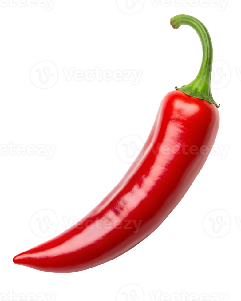 Single red chili pepper isolated on white background png