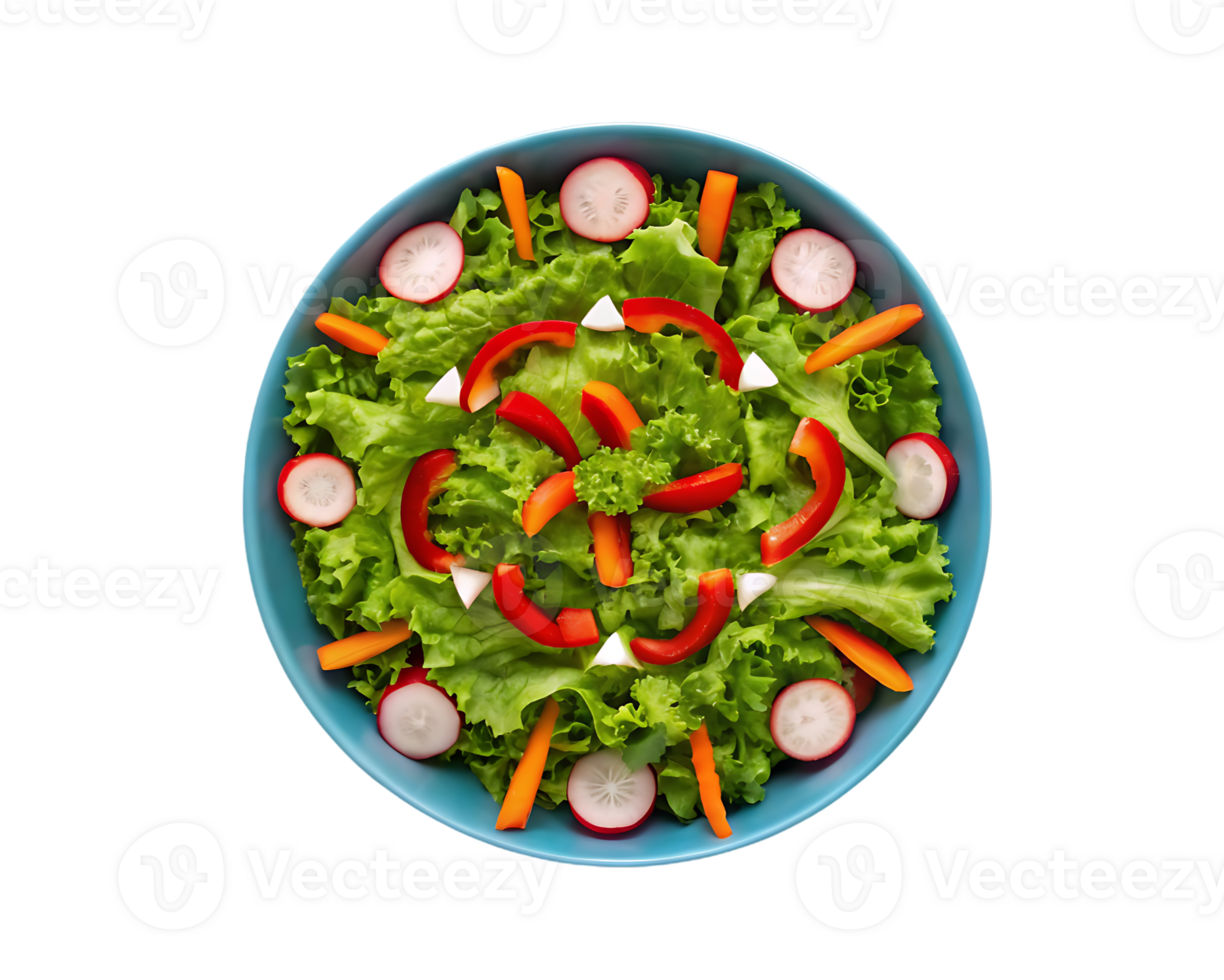 Top view of a vibrant and healthy salad arranged in a mandala pattern. Perfect for vegan or vegetarian diets. png