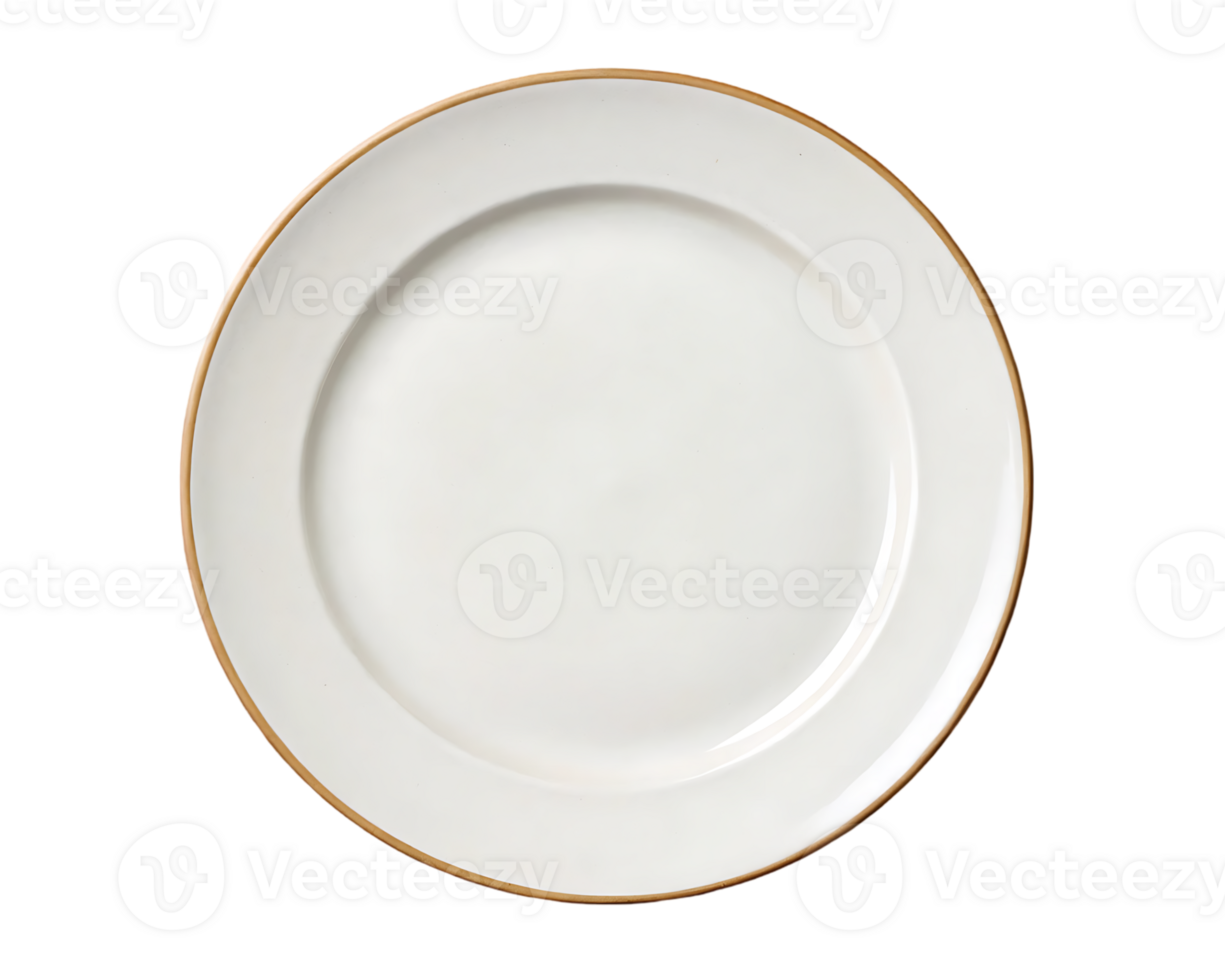 White Dinner Plate With Gold Rim
