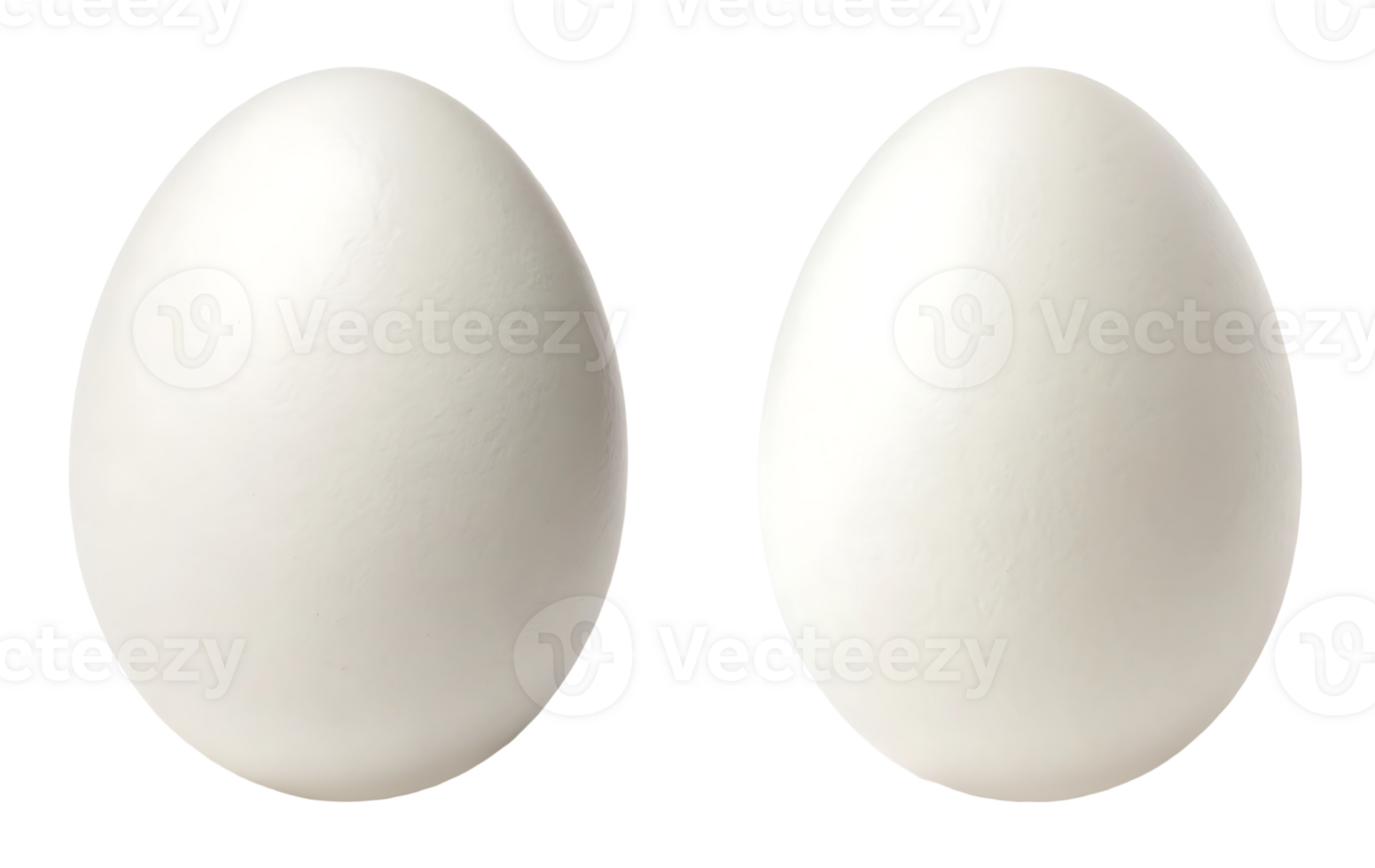 Two white eggs isolated on white background png