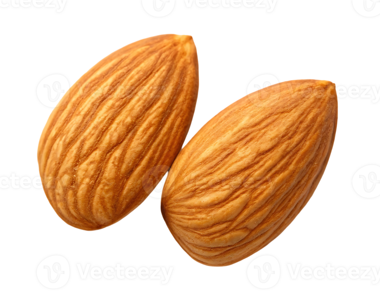 Two almonds, close up view png