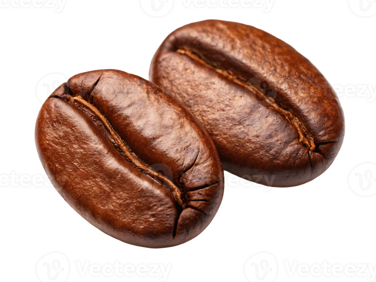 Two roasted coffee beans close up. png