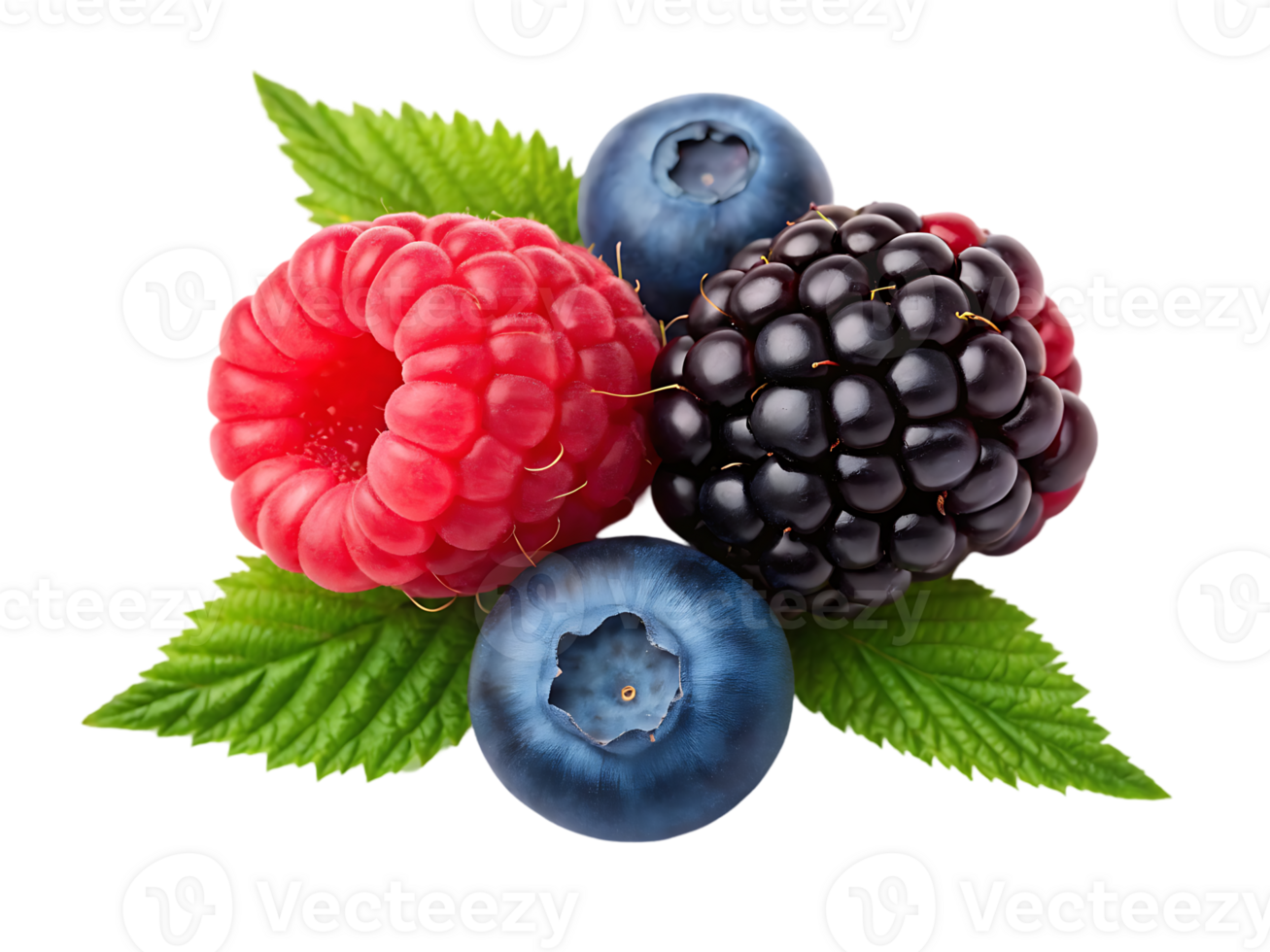 Fresh raspberries, blueberries, and blackberries. png