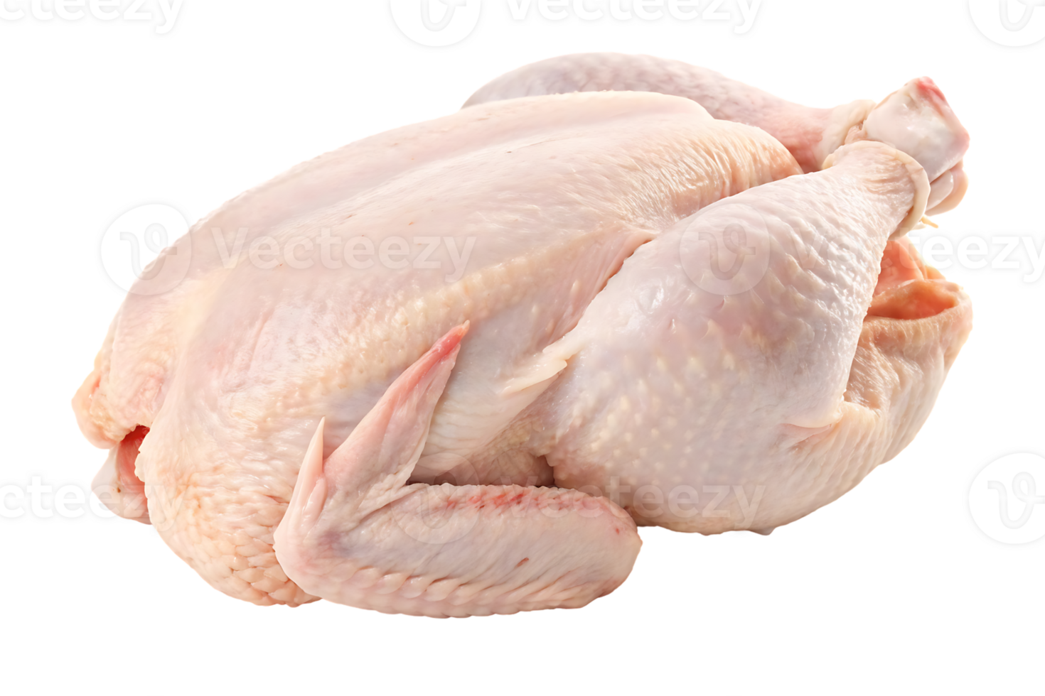 Raw whole chicken ready for cooking png