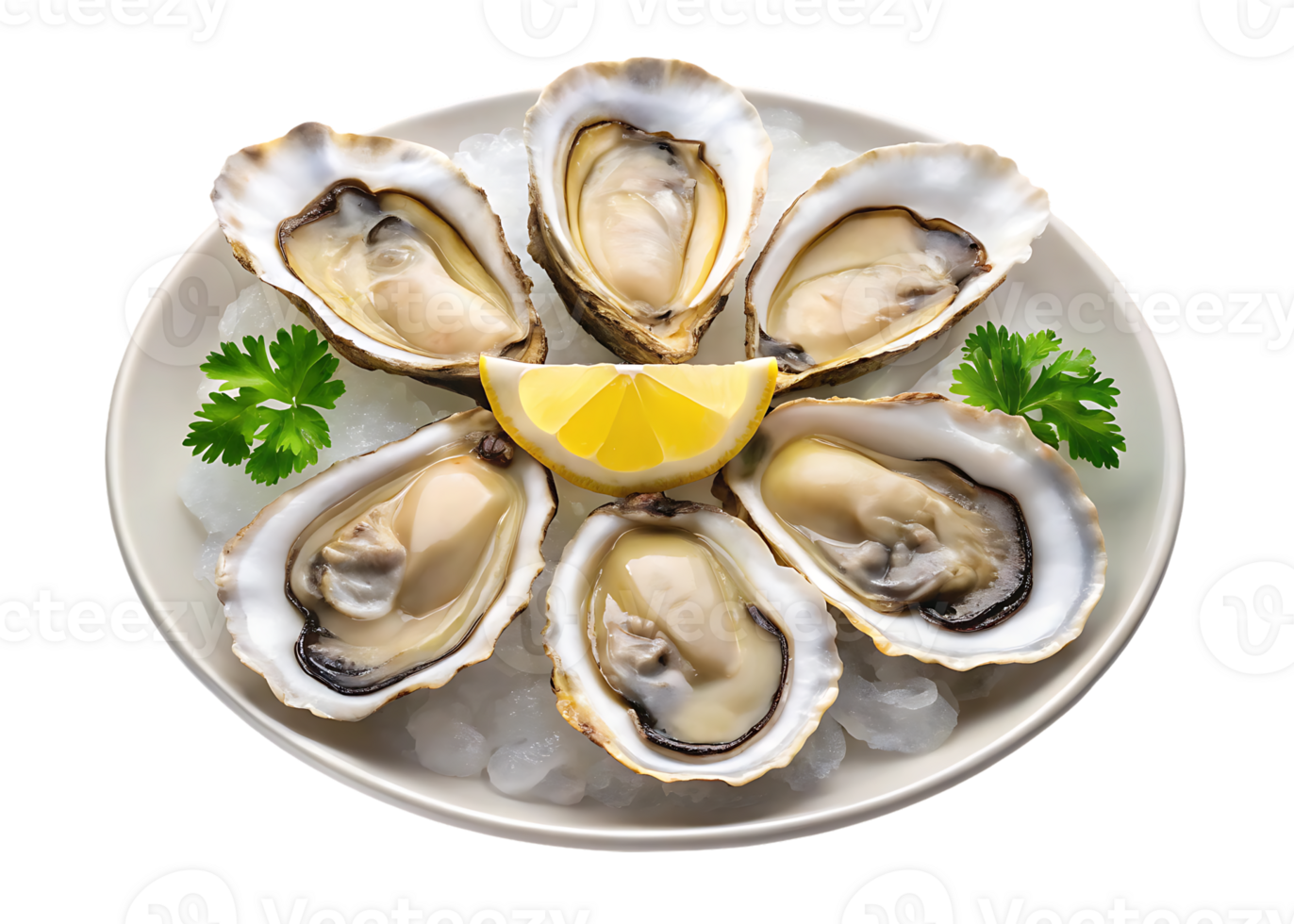 Six fresh oysters on ice with lemon png