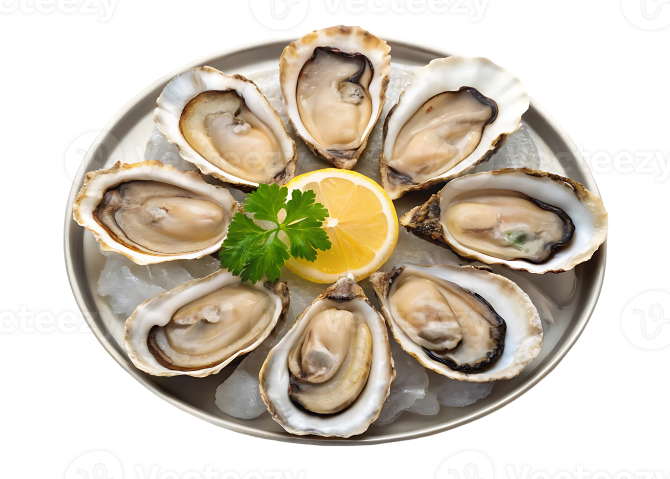 Plate of fresh oysters on ice with lemon and parsley. png