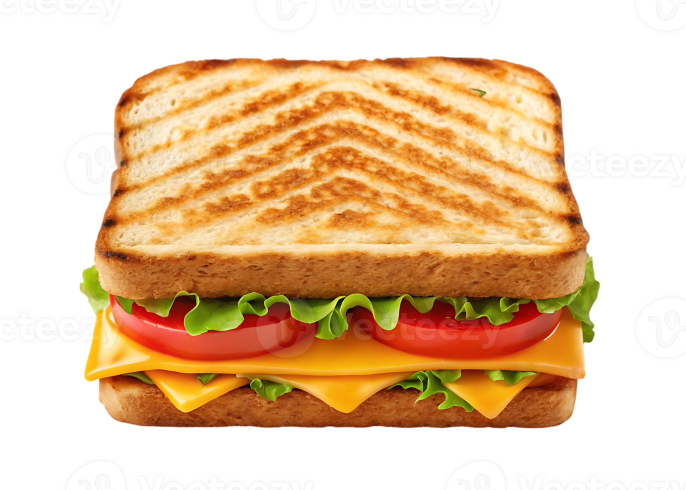 Delicious grilled cheese sandwich with cheese and tomato. png