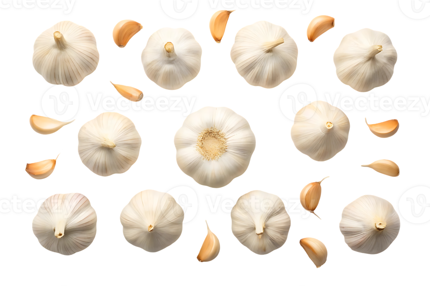 Overhead view of whole garlic bulbs and cloves arranged on a dark background. png