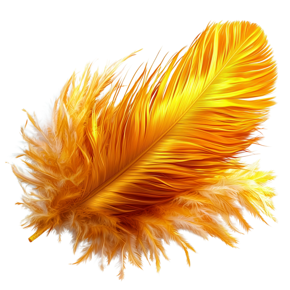 Striking orange feather delicate strs, reflecting creativity, elegance, natures subtleistry. png