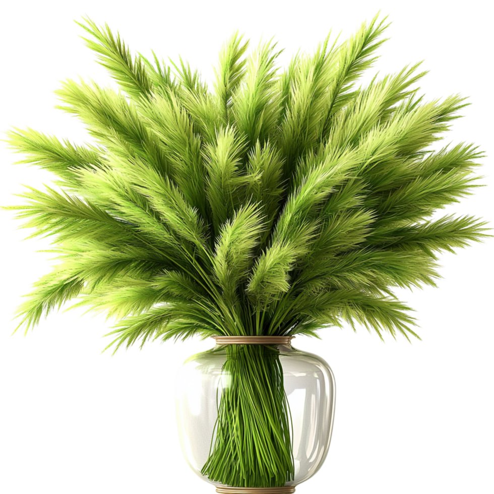 Tropical potted palm tree sprawling green fronds, bringing an exotic refreshing botanical touch to indoor environments. png