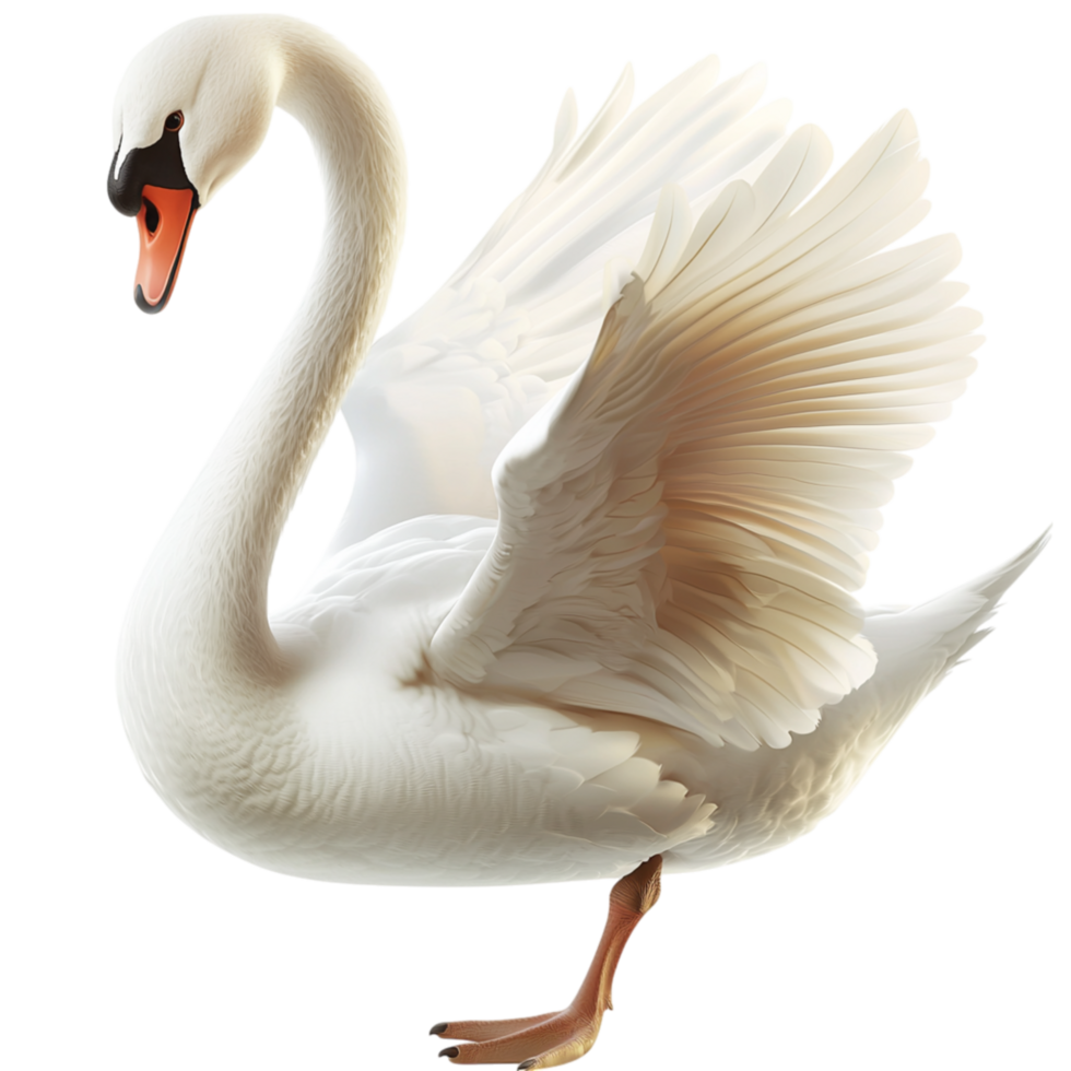 Graceful snowwhite swan gliding smoothly across shimmering water, its elegantly curved neck symbolizing natural beauty refined poise. png