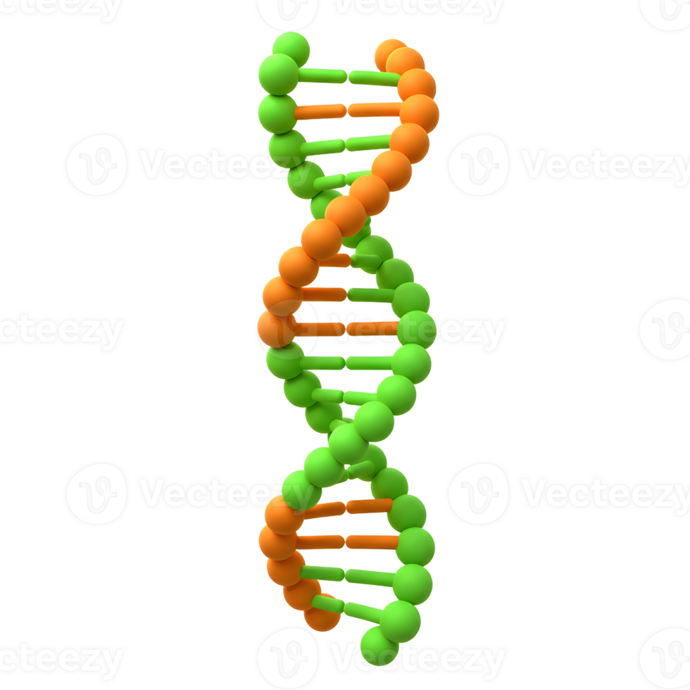 DNA Structure Isolated Render Showing Genetic Code and Molecule Science png
