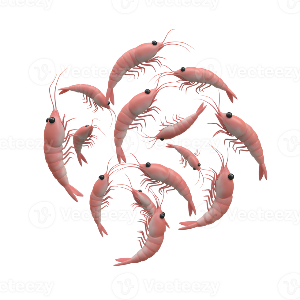 Shrimp Group Floating on White Background Seafood Illustration Food Design png