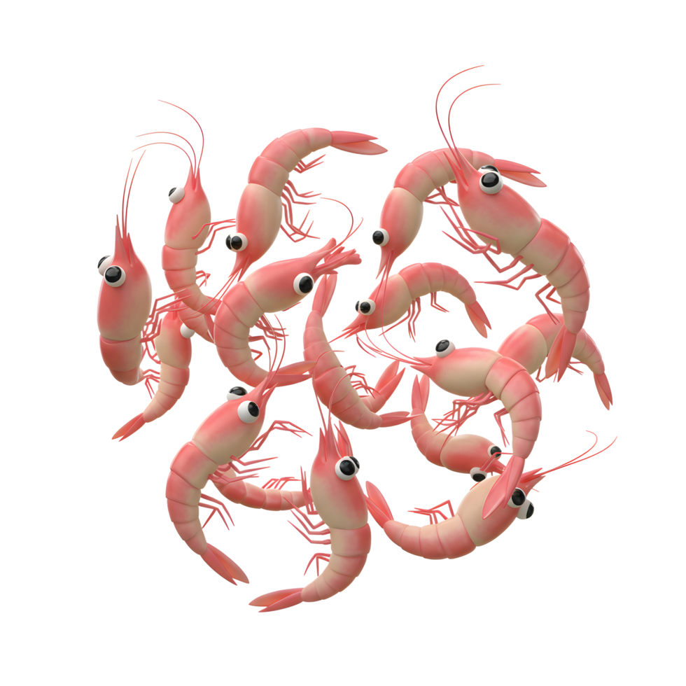 Cartoon Shrimp Grouping on White Background - Playful Seafood Illustration png