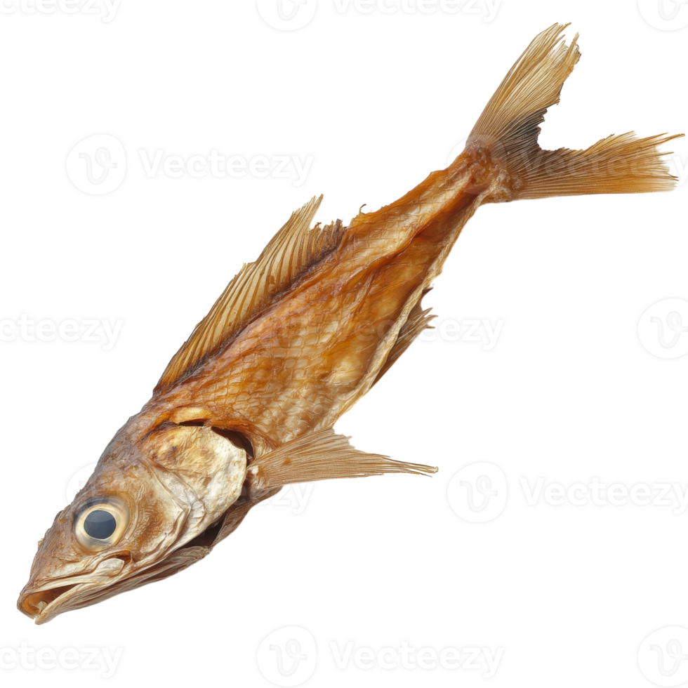 Dried Rattail Fish on White on transparent background. png