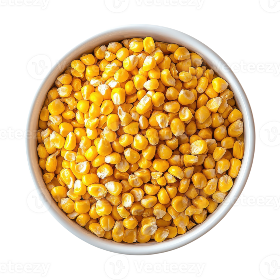 Sweet Corn Bowl Summer Harvest on transparent background. png