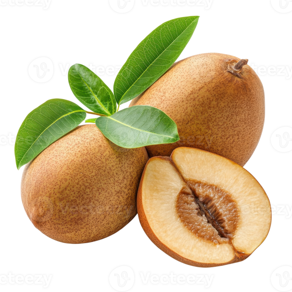 Exotic Sapodilla Fruit with Lush Leaves on transparent background. png