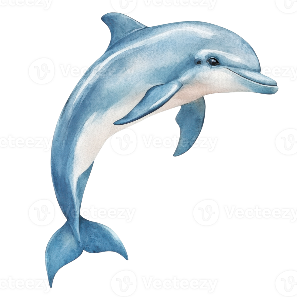 Adorable Watercolor Baby Dolphin Clipart on transparent background. png