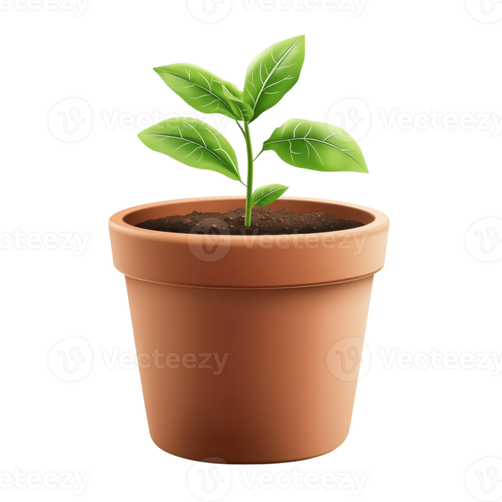 Terracotta Flower Pot Rustic Charm on transparent background. png