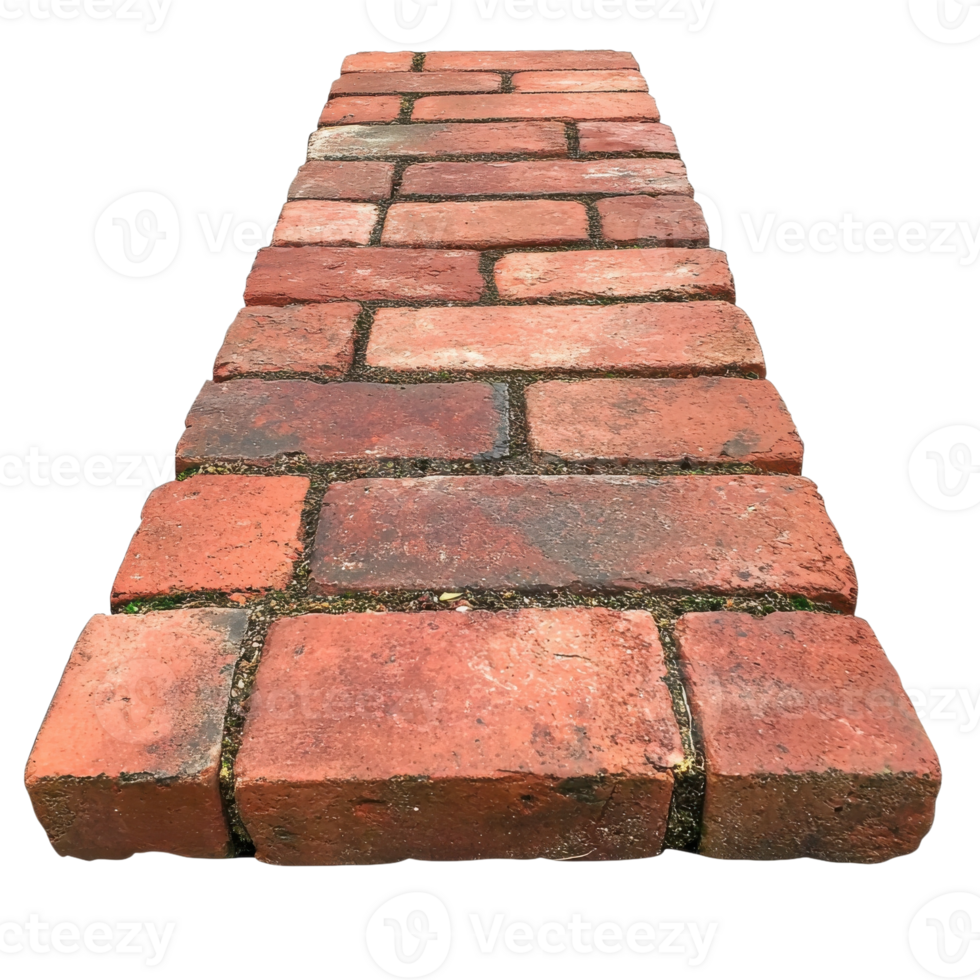 Red Brick Pathway Texture Detailed Image on transparent background. png