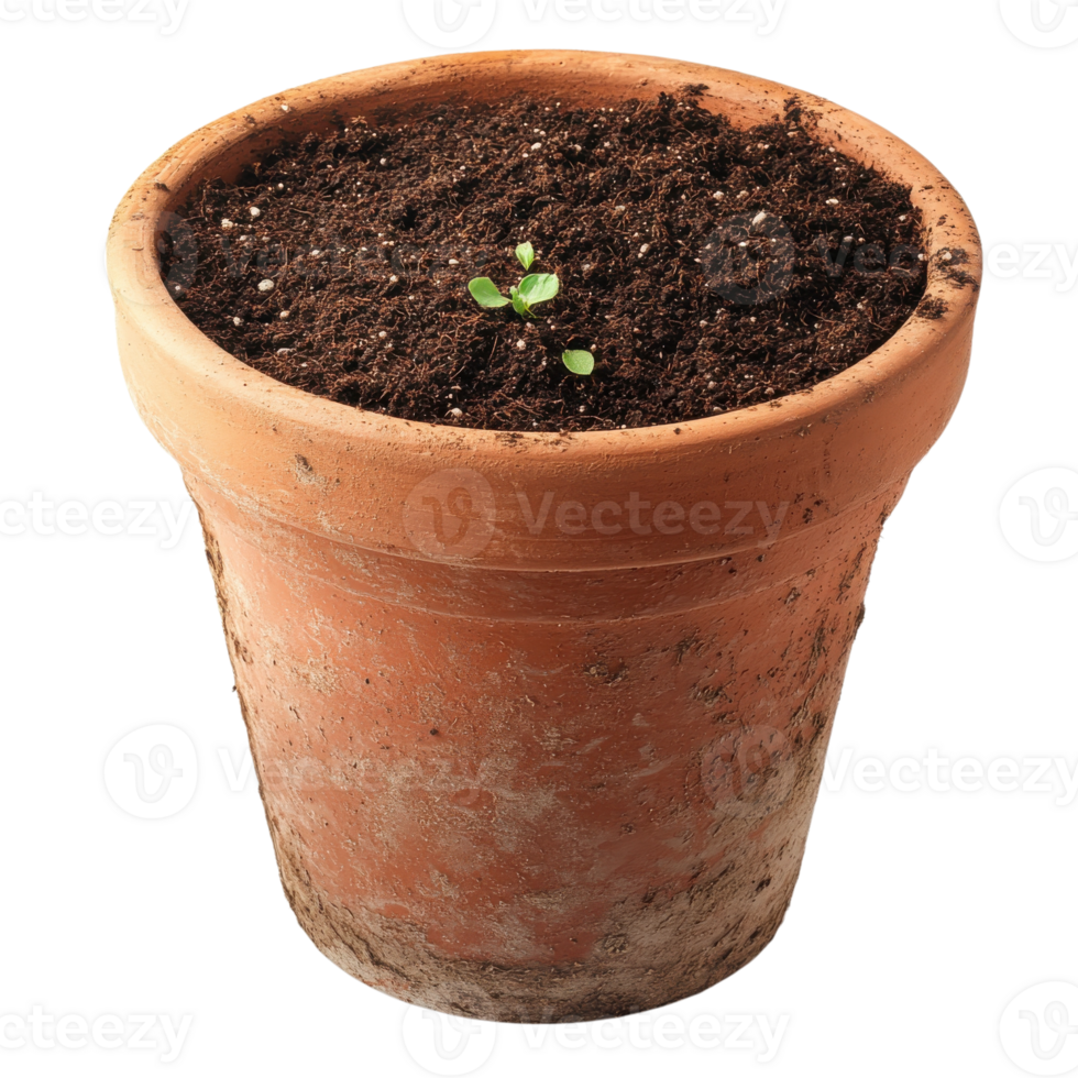 Terracotta Pot with Soil for Planting on transparent background. png