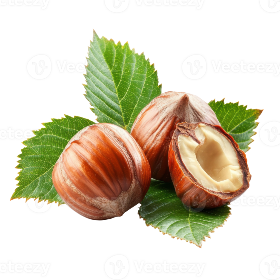 Artisan Hazelnuts Culinary Delight on transparent background. png