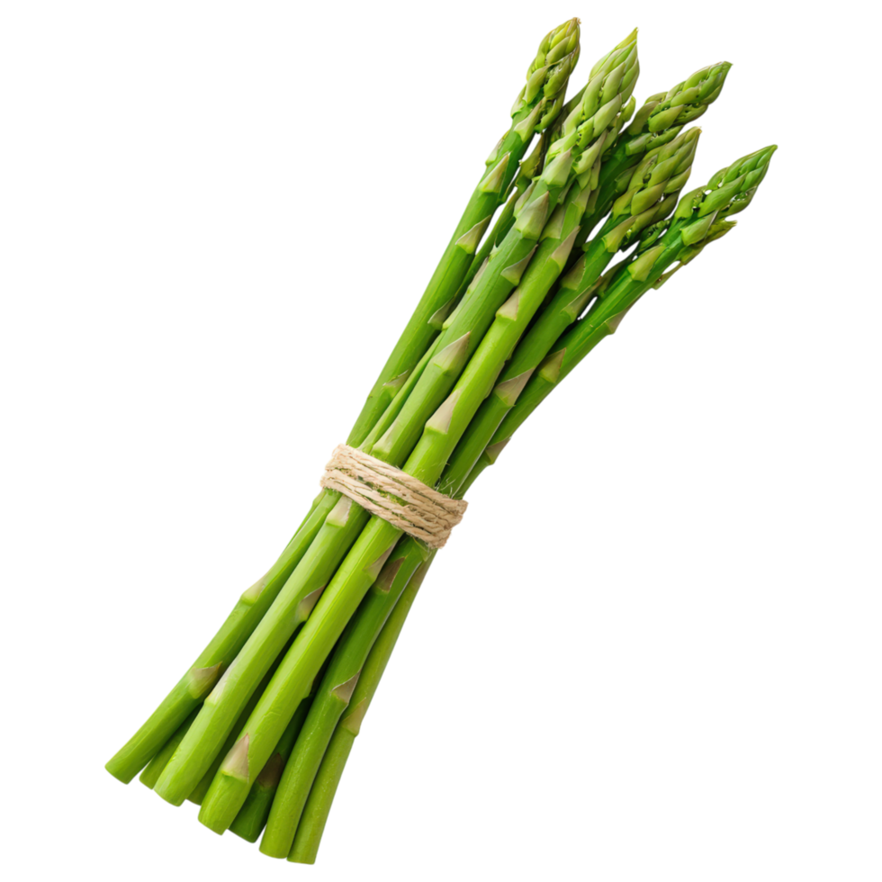 A bunch of green asparagus is tied together with a string. png