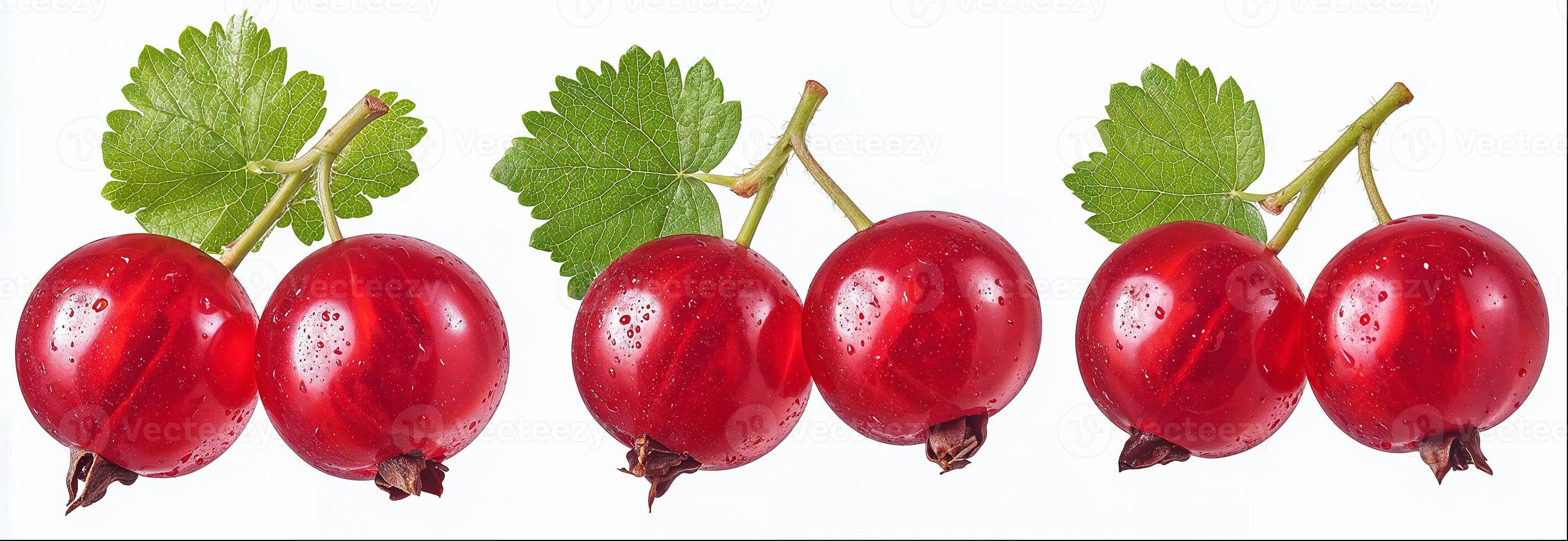 Red currant isolated on white background with clipping path photo