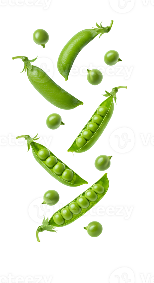 Pea pieces falling down isolated on transparent background png