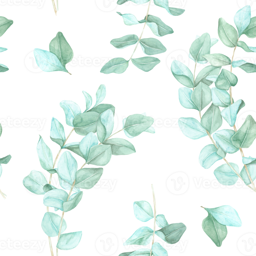 Eucalyptus branches with soft green leaves painted in watercolor. This seamless pattern clipart is ideal for textile design, botanical-themed packaging, and eco-friendly product branding png