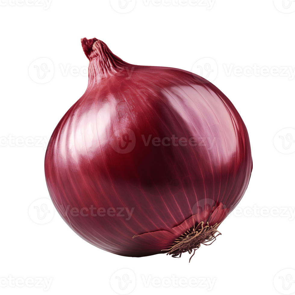 Whole Red Onion with Deep Purple Color Isolated On A Transparent Background png